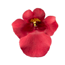 Charger l'image dans la galerie, Diasca pot 10.5