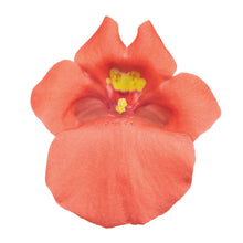 Charger l'image dans la galerie, Diasca pot 10.5
