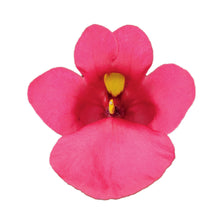 Charger l'image dans la galerie, Diasca pot 10.5
